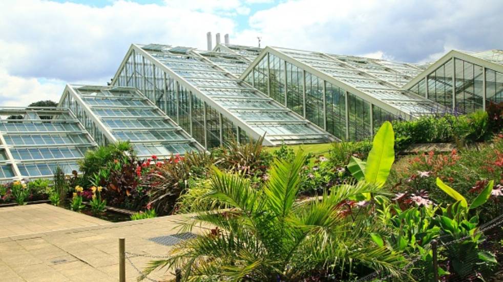 the princess of wales conservatory kew